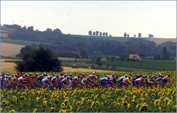 Tour De France